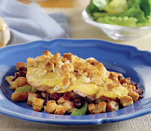 Turkey Cutlets with Stuffing & Cranberries